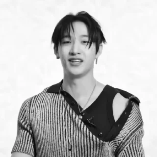 Sticker from BANGCHAN @STCK92