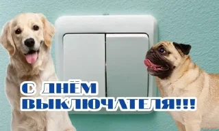 🌟 emoji С праздником Telegram sticker 6 of 20