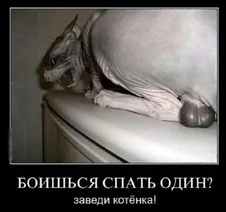 🌟 emoji Демотиватор Telegram sticker 6 of 20