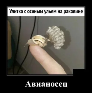 🌟 emoji Демотиватор Telegram sticker 18 of 20