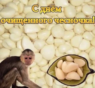 🌟 emoji С праздником Telegram sticker 7 of 20