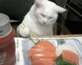 🍣 emoji хз мне надо Telegram sticker 6 of 19