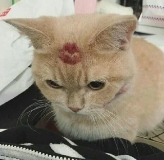 🥰 emoji хз мне надо Telegram sticker 11 of 19