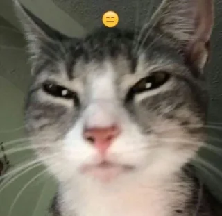 😑 emoji хз мне надо Telegram sticker 9 of 19