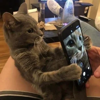 😎 emoji хз мне надо Telegram sticker 8 of 19