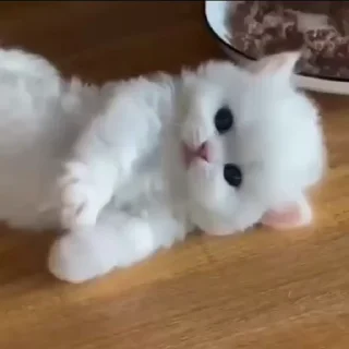 🥺 emoji ꒰ ➸ @ekmr_packs ꒱࿐♡ ˚.*ೃ @UAStickerbot Telegram sticker 12 of 36