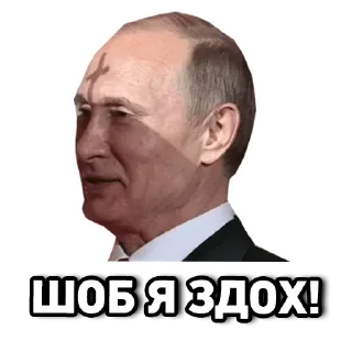 ✝️ emoji СЛАВА УКРАЇНІ 🇺🇦 Telegram sticker 21 of 21