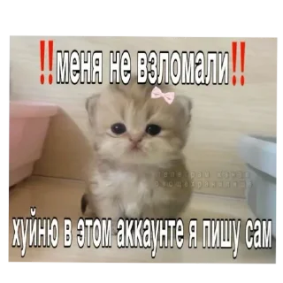 Sticker from Я вас ненавижу