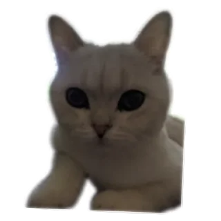 Sticker from Синя
