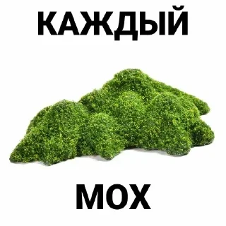 🍀 emoji CryptoSugar memes Telegram sticker 21 of 37