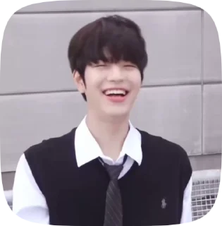 Sticker from seungmin by @lisqq_q