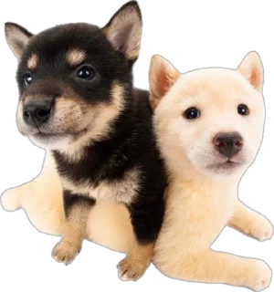 Sticker from ☆puppy☆