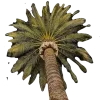 🤩 emoji ksushabombshell4 by @ksuhbic Telegram sticker 9 of 200