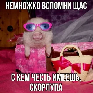 Sticker from охрюнительно! ➝ @wictiwn