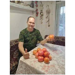 Sticker from учителя