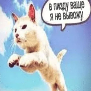 🌟 emoji я не я суета не моя🪷 Telegram sticker 2 of 112