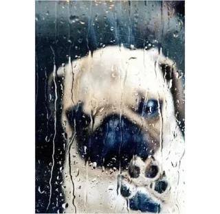 🌟 emoji я не я суета не моя🪷 Telegram sticker 24 of 112