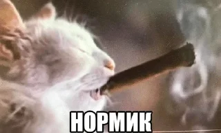 🌟 emoji я не я суета не моя🪷 Telegram sticker 13 of 112