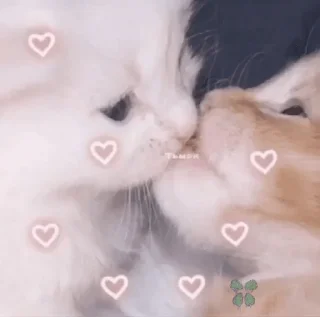 Sticker from Ily