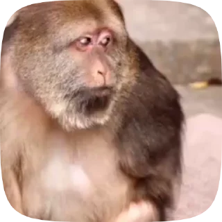 🥺 emoji алина капаттен иоу Telegram sticker 7 of 67