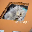 Sticker from @visualph - Подпишись!