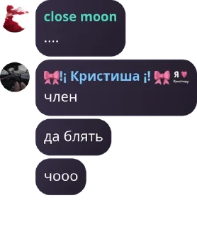 🇸🇮 emoji кристиша дура Telegram sticker 15 of 43