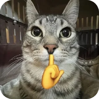 Sticker from Котики и др