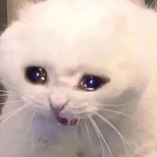 💔 emoji @otmnR bom Telegram sticker 22 of 116