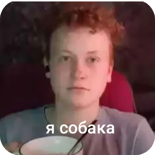 Sticker from письки трактора