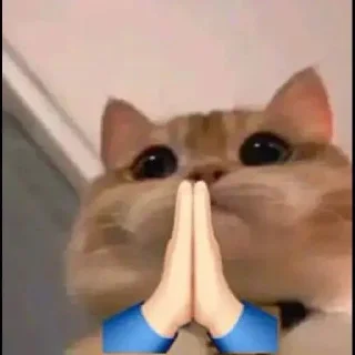 🙏 emoji kit10s Telegram sticker 21 of 28