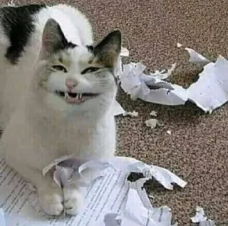 😁 emoji котикиЛуиза Telegram sticker 18 of 67