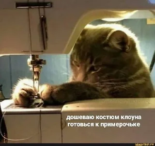 🤭 emoji котикиЛуиза Telegram sticker 12 of 67