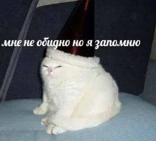 🤭 emoji котикиЛуиза Telegram sticker 15 of 67