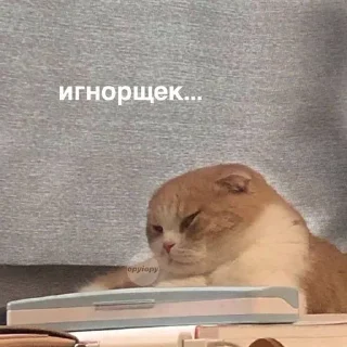 Sticker from котикиЛуиза
