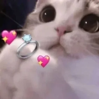 🤩 emoji @round_stickers Telegram sticker 7 of 50