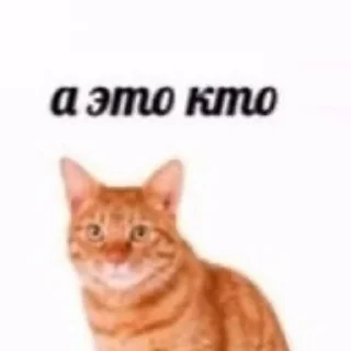 Sticker from хихоньки да хахоньки