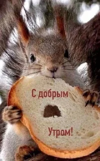 🌟 emoji Прикольчики Telegram sticker 12 of 35