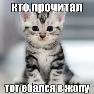🌟 emoji Прикольчики Telegram sticker 7 of 35