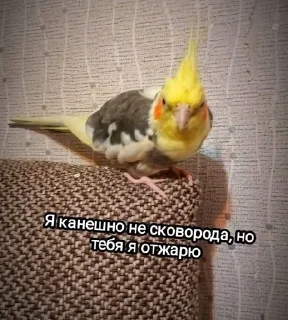 🌟 emoji Прикольчики Telegram sticker 11 of 35