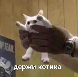 🌟 emoji Прикольчики Telegram sticker 3 of 35