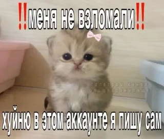 🌟 emoji Прикольчики Telegram sticker 6 of 35