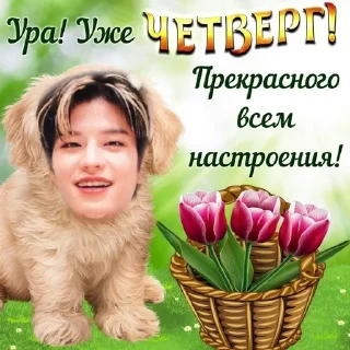 🌟 emoji боброе утр с скз Telegram sticker 10 of 22