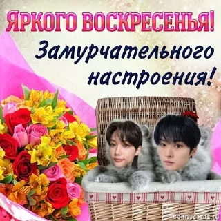 🌟 emoji боброе утр с скз Telegram sticker 13 of 22