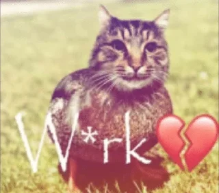 🌟 emoji коллекция сваги Telegram sticker 21 of 107