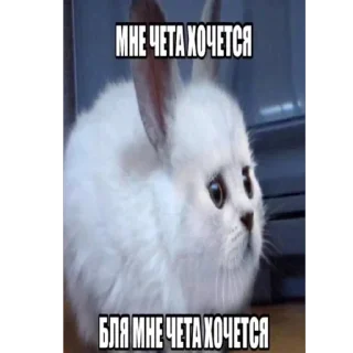 🫥 emoji коллекция сваги Telegram sticker 12 of 107