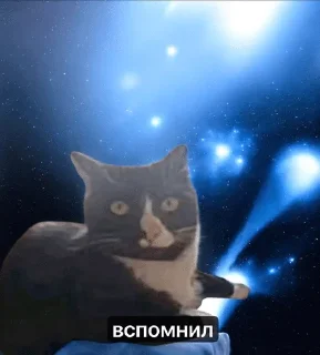 Sticker from коллекция сваги