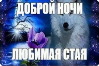 🌟 emoji Cho sa her (мягкий знак) Telegram sticker 3 of 30