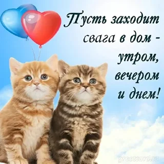 😽 emoji cocite2 Telegram sticker 16 of 120