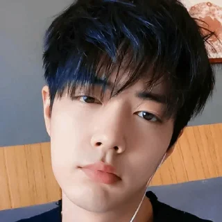 🥱 emoji Китайская деревня Telegram sticker 10 of 119