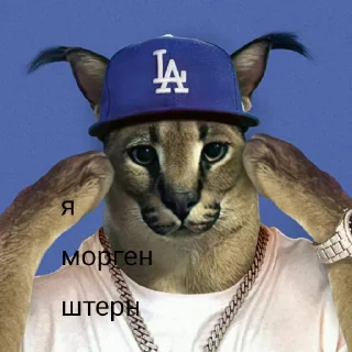 Sticker from Деревня шлёп